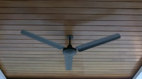 Ceiling Fan Spinning Stock Footage 125240675