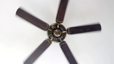A ceiling fan spinning with visible motion blur on a white ceiling Stock Footage 341436160