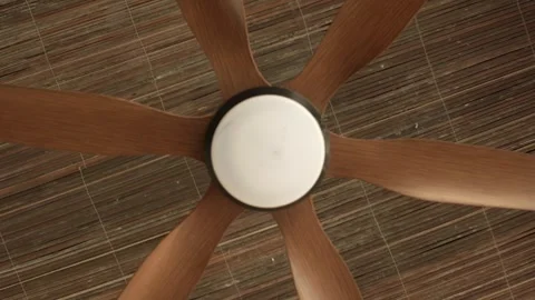 Ceiling fan summer cooling Stock Footage 332626717