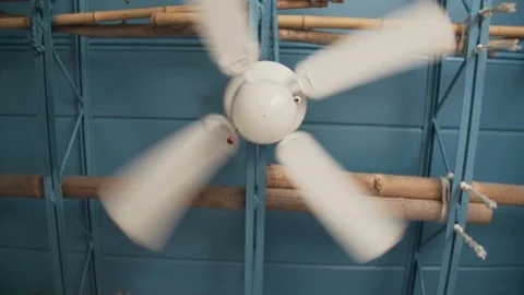 Ceiling Fan1 Stock Footage 102332602
