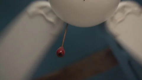 Ceiling Fan2 Stock Footage 102332717