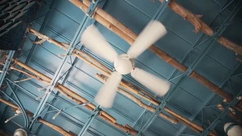 Ceiling Fan3 Stock Footage 102332608