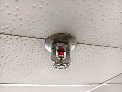 Ceiling fire sprinkler Fotos de archivo