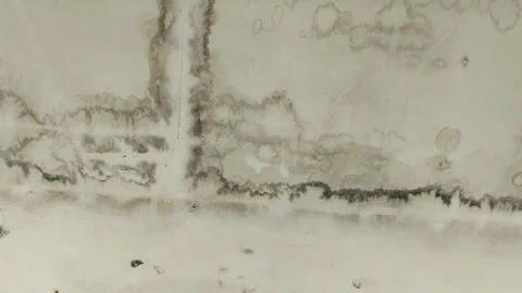 The ceiling of the house is growing black mold Видео 301170351