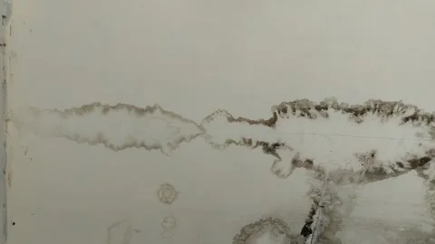 The ceiling of the house is growing black mold Видео 301170352