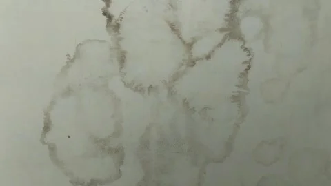 The ceiling of the house is growing black mold Видео 301170422