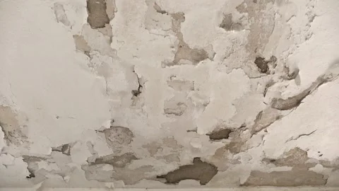 The ceiling of a house whose paint is deformed, cracked and spilled, 動画素材 234627761