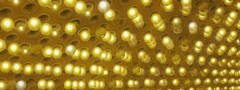 Ceiling of large hall decorated with multitude of incandescent bulbs with lamps Stock Footage 252302490