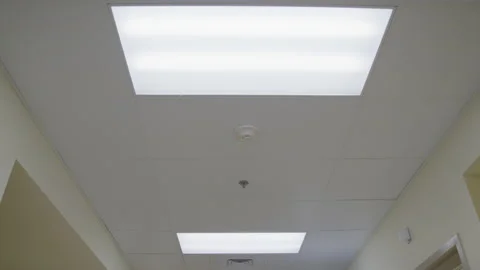 Ceiling Lights of a Hospital Corridor Vidéo 208759502