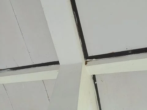 The ceiling of a modern style building Stock Photos