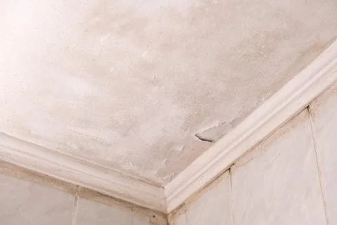 The ceiling is moldy.Surface in mold. Light wall in the room in mold. Stock Photos