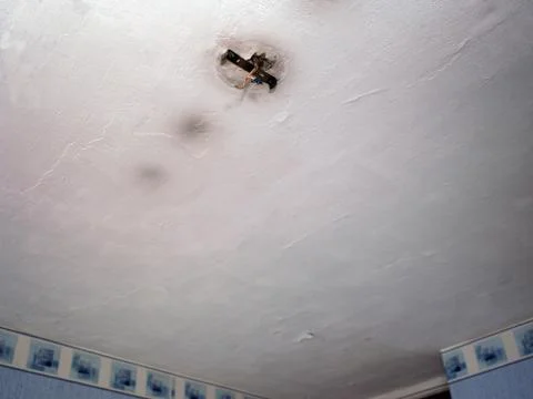 Ceiling needs platerworks 写真素材