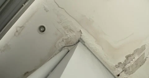 Ceiling panels with fungus outside house from rainy leaked. Stock Footage 277828587