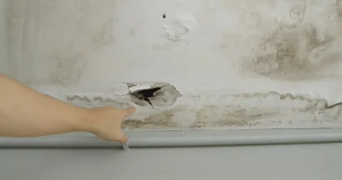 Ceiling panels problem outside house from water pipes damaged or rainy leaked. Stock Footage 254686386