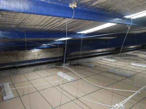 Ceiling Stock Photos