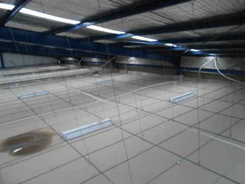 Ceiling Stock Photos