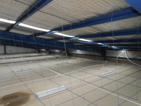 Ceiling Stock Photos