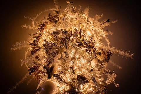 The ceiling Foto stock