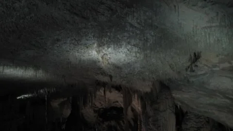 The ceiling of Postojna Cave in Croatia. Stock Footage 324694628