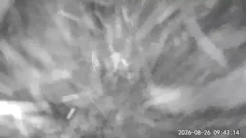 Ceiling Randomly Collapses Onto Someone Sleeping on Couch, Syracuse, New York, U Vídeos de archivo 344333043