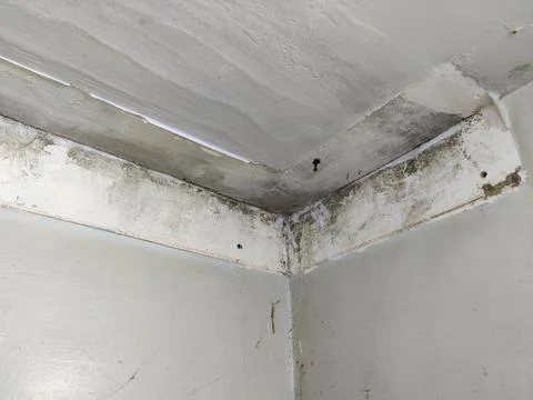 Ceiling removal nail marks on wall and ceiling Stock Photos