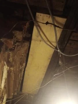 Ceiling repair 스톡 사진