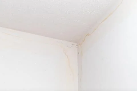 Ceiling stained from water damage Stock Photos