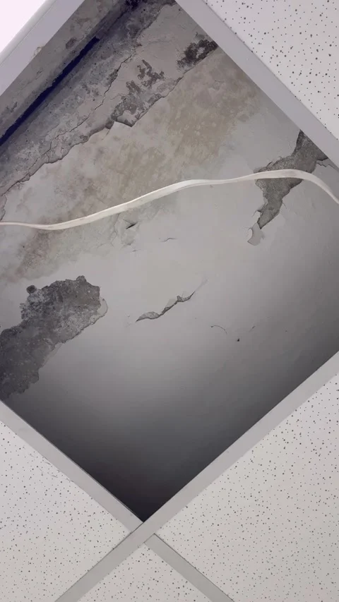 Ceiling tile water damage Stock Footage 293051783