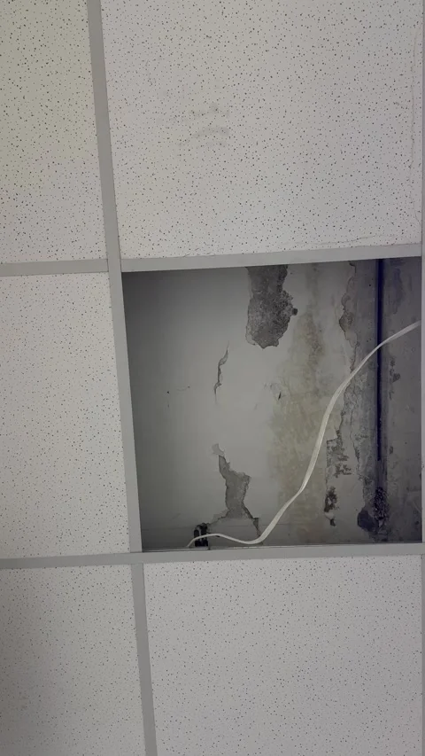 Ceiling tile water damage Stock Footage 293051810