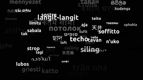 Ceiling Translated in 69 Worldwide Languages Endless Looping 3d Zooming Wordc Video stock 145202083