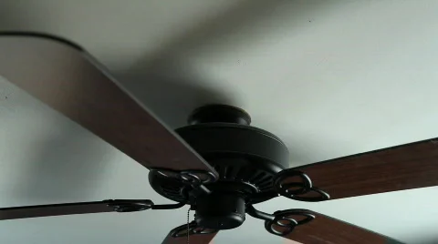 CeilingFan1 Video stock 332337