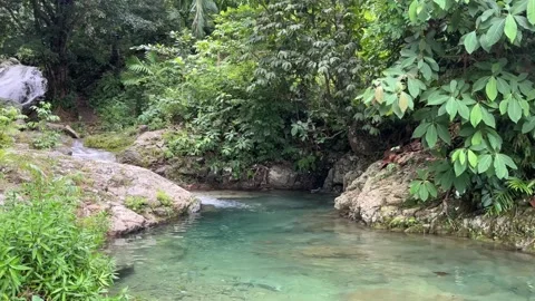 A celan water on the river Stock Footage 246288868