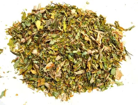 Celandine Stock Photos