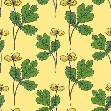 Celandine seamless pattern. Vector print for textile or packaging design. Nat Stock Illustration