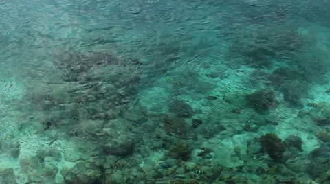 Celear sea Vídeos de archivo 11435055