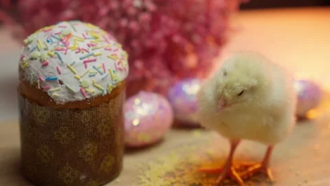 Celebrate the charming and festive Easter cake with adorable chicks, bringing Stock Footage 306501301