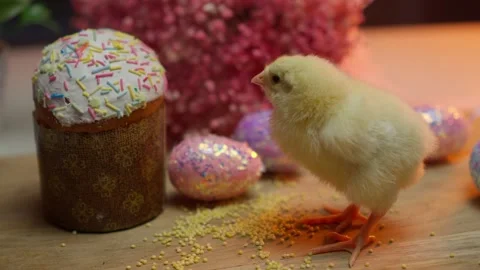 Celebrate the charming and festive Easter cake with chick, bringing joy to all Stock Footage 306602306