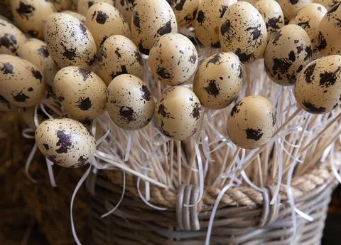 Celebrate Easter with charming handcrafted decorations featuring quail eggs Stock Photos