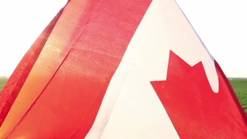 Celebrate unity with vibrant flags waving in the breeze on a sunny day Vídeos de archivo 295255495