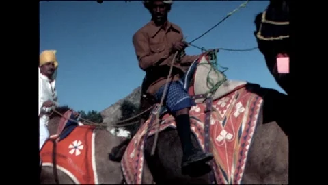 Celebrating Camel Rider Stock Footage 276293293