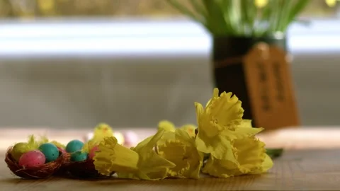 Celebrating Easter with eggs and daffodil flowers display Stock Footage 267683144