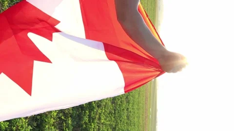 Celebrating nature with a vibrant Canadian flag in a sunny field Vídeos de archivo 295256341