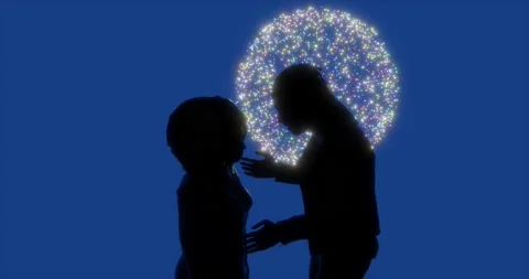 Celebrating their relationship with fireworks in the background Stock Footage 218407900