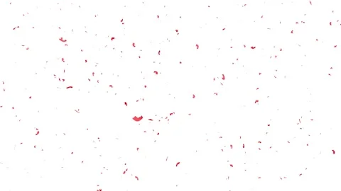 Celebration 3D Multi-colored Confetti Burst and Fall Animation. 库存影片 335997839