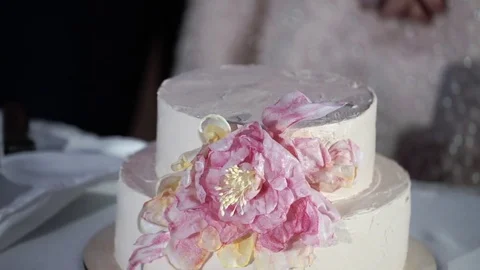 Celebration cake at the party Stock Footage 80873814