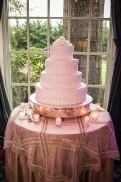 Celebration cake Stock Photos