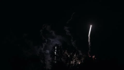 Celebration fireworks exploding behind the trees at night Video stock 249905362