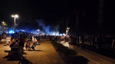 Celebration in the park at night Stock Footage 112262832