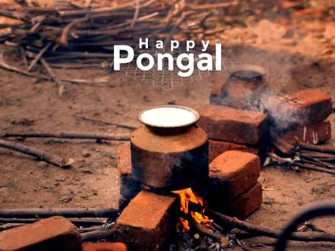 Celebration of Pongal Festival in South India Stock Photos