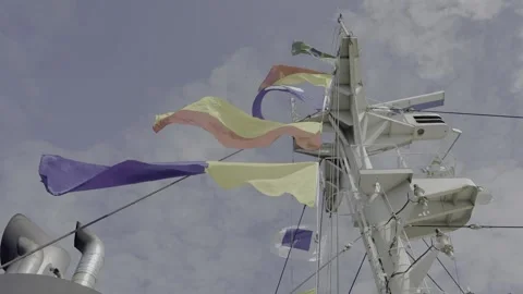 Celebration at Sea Stock Footage 328951452